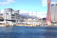 Foreigners loved by calling water